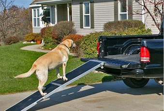 Pet ramps